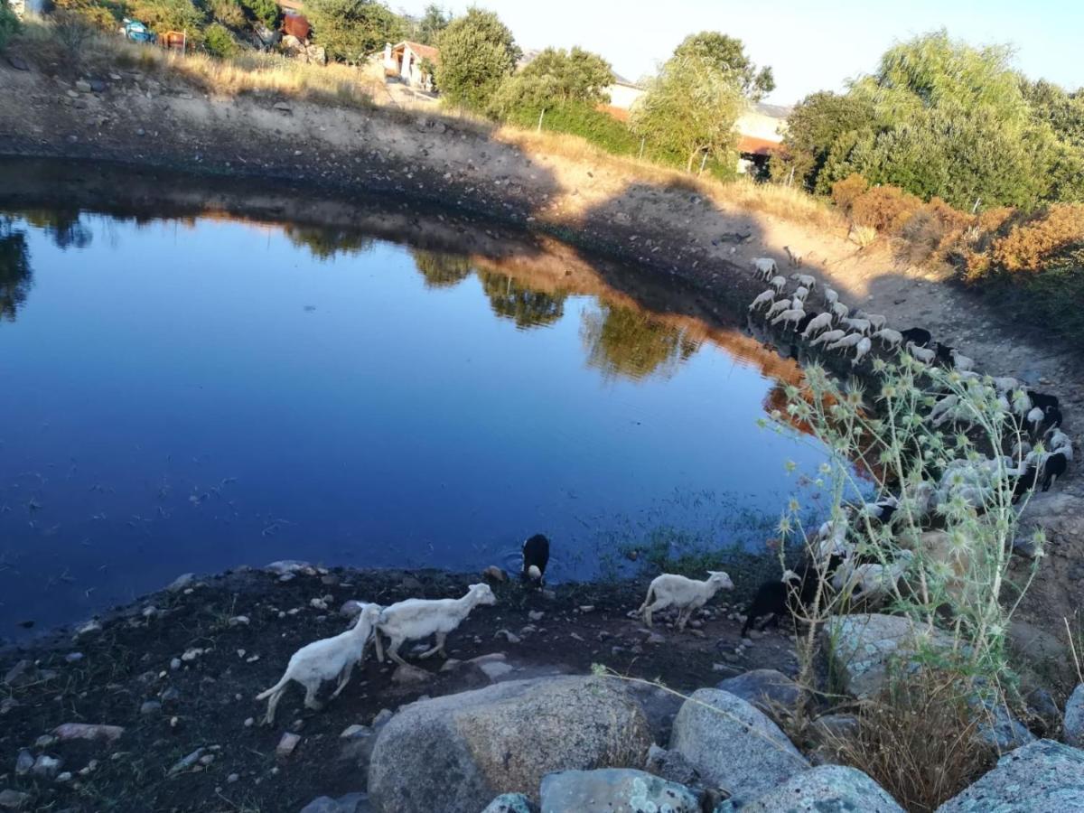 הוילה טמפיו פאוזניה Agriturismo Pausania מראה חיצוני תמונה